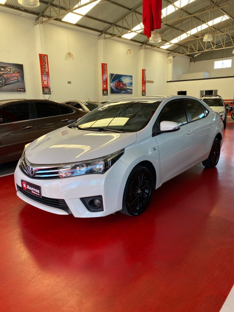 WhatsApp Image 2026-03-03 at 12.09.15 (1)