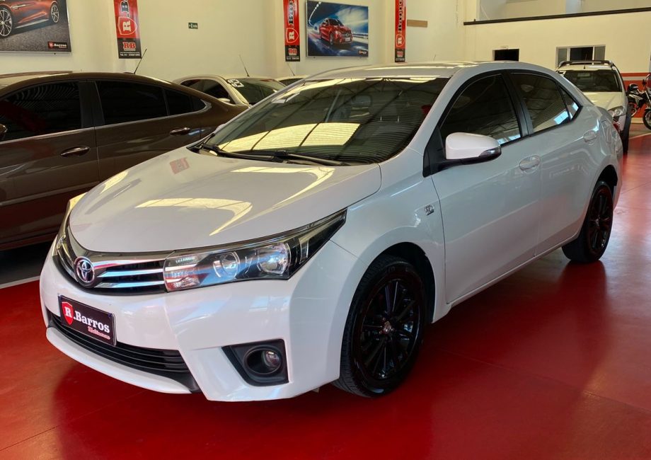 WhatsApp Image 2026-03-03 at 12.09.15 (1)